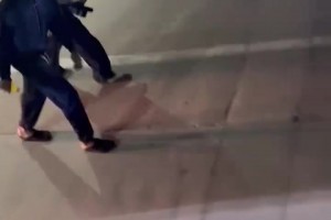 9中1被嘲讽喊库桶！库明加回呛球迷：我会找到你给你一巴掌！