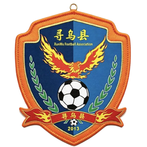 寻乌队队标
